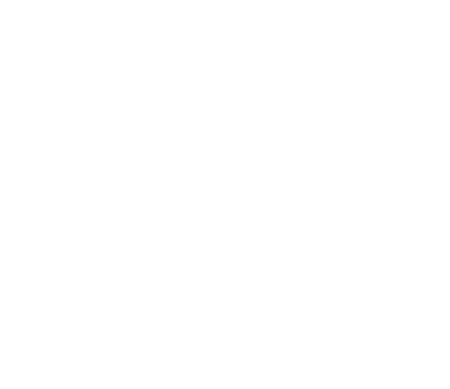 Bay Area Dating Coach