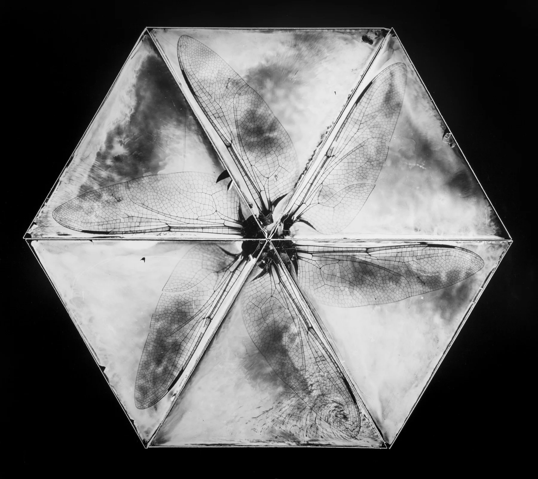 XSS-Brett Henrikson-Henrikson-Chaotic Forms#67.jpg