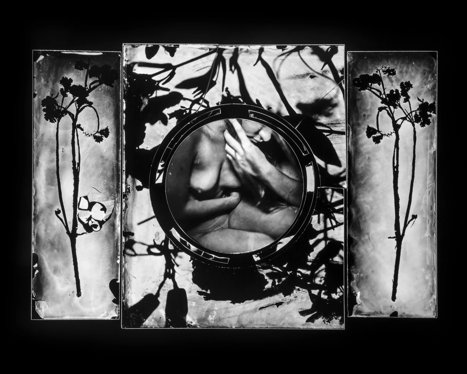 PMFA-Chaotic Forms No.114.jpg