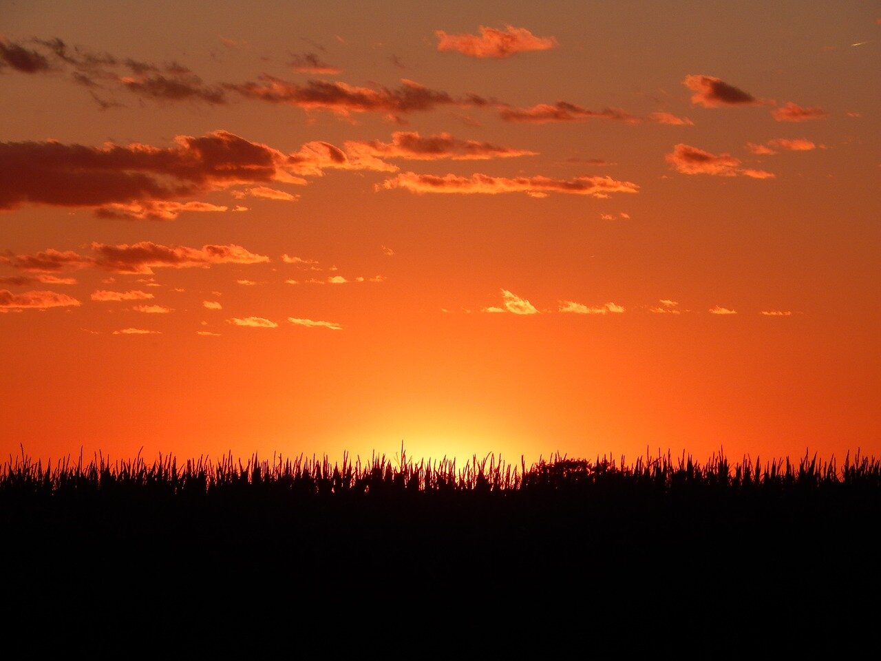 Harvest Home: Reflections on American Choral Music