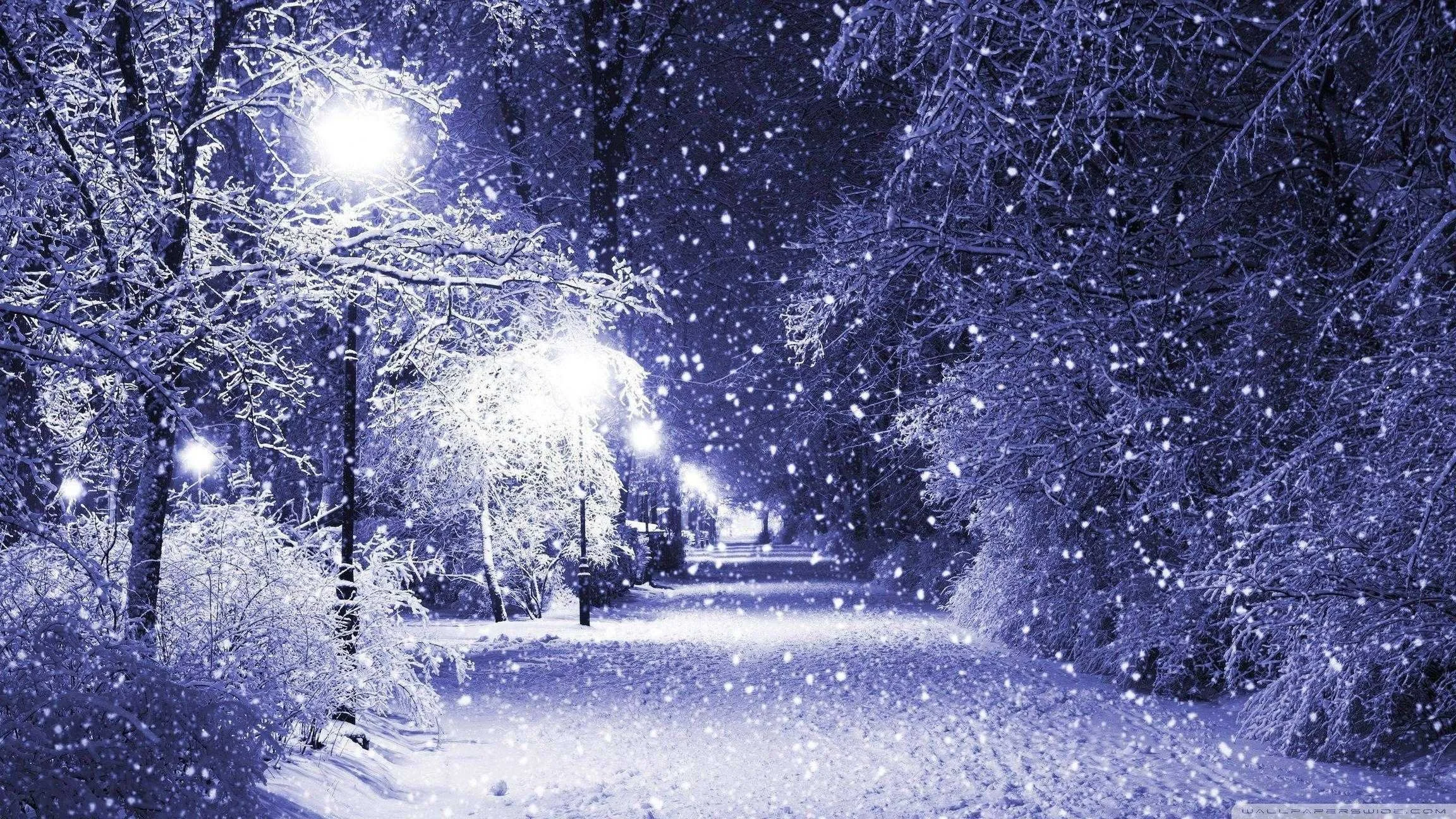 Winter Wonderland