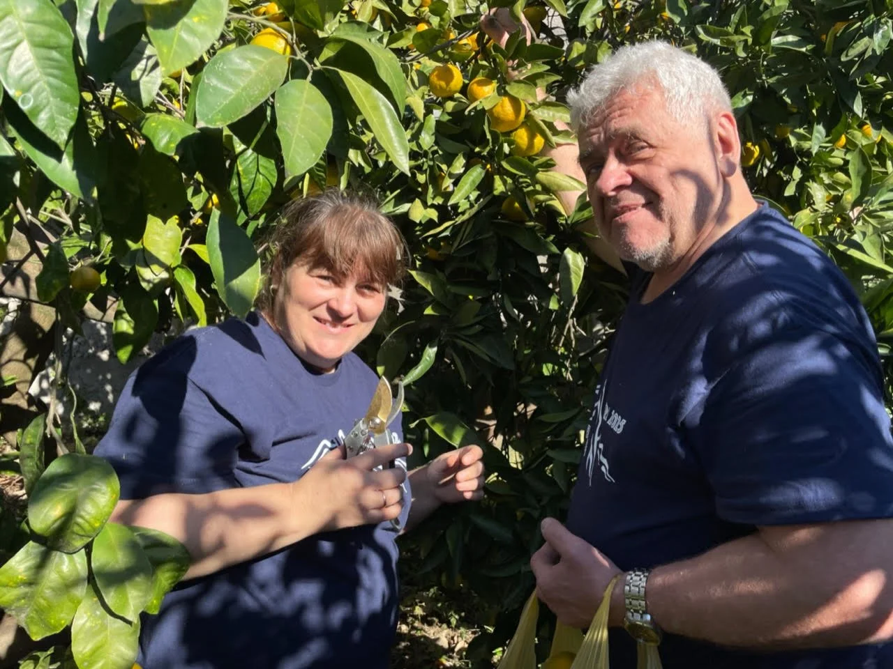 abkhazia nov 6 2024.jpg