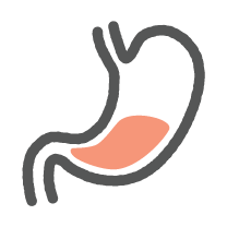 digestive-system-icon.png