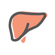liver-icon.png