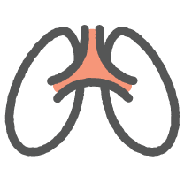 lungs-icon.png