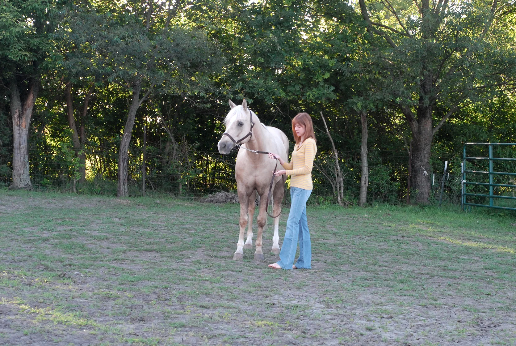 Sarabeth, 2009