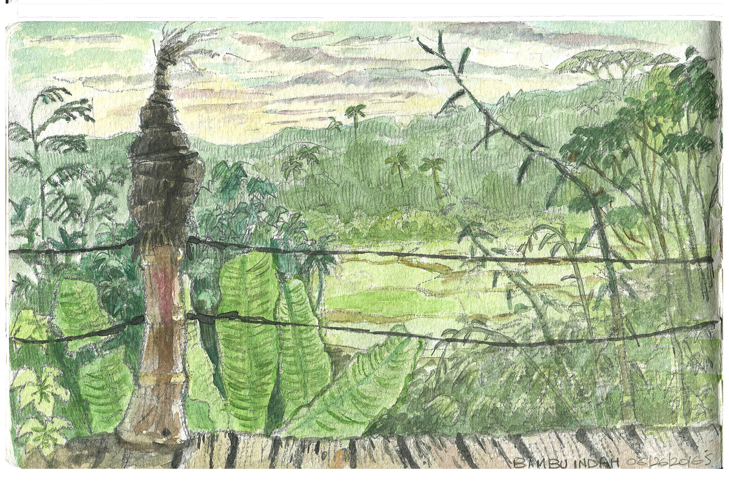 View of the rice paddy fields from Bambu Indah