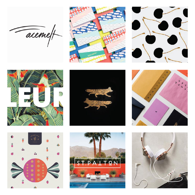 Creative Picnic - Brand Style