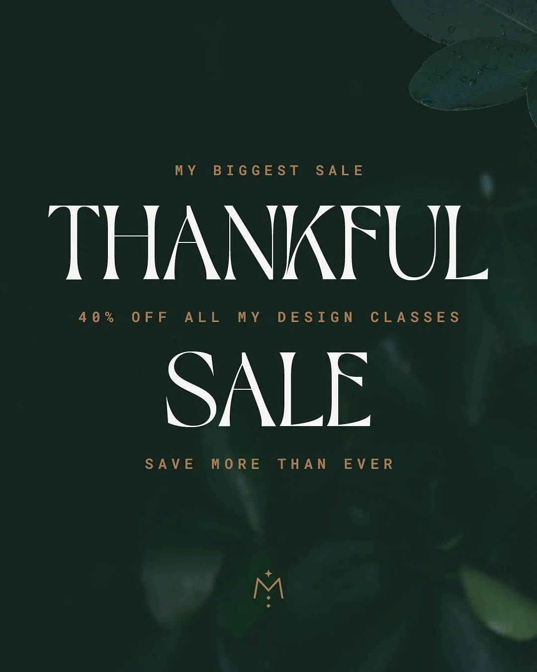 My biggest sale is back! 🥳

I&rsquo;m not a big fan of Black Friday distracting from all the food and time with loved ones at Thanksgiving. But I am VERY thankful for you and your support of my beautiful little business, and I&rsquo;m showing my app