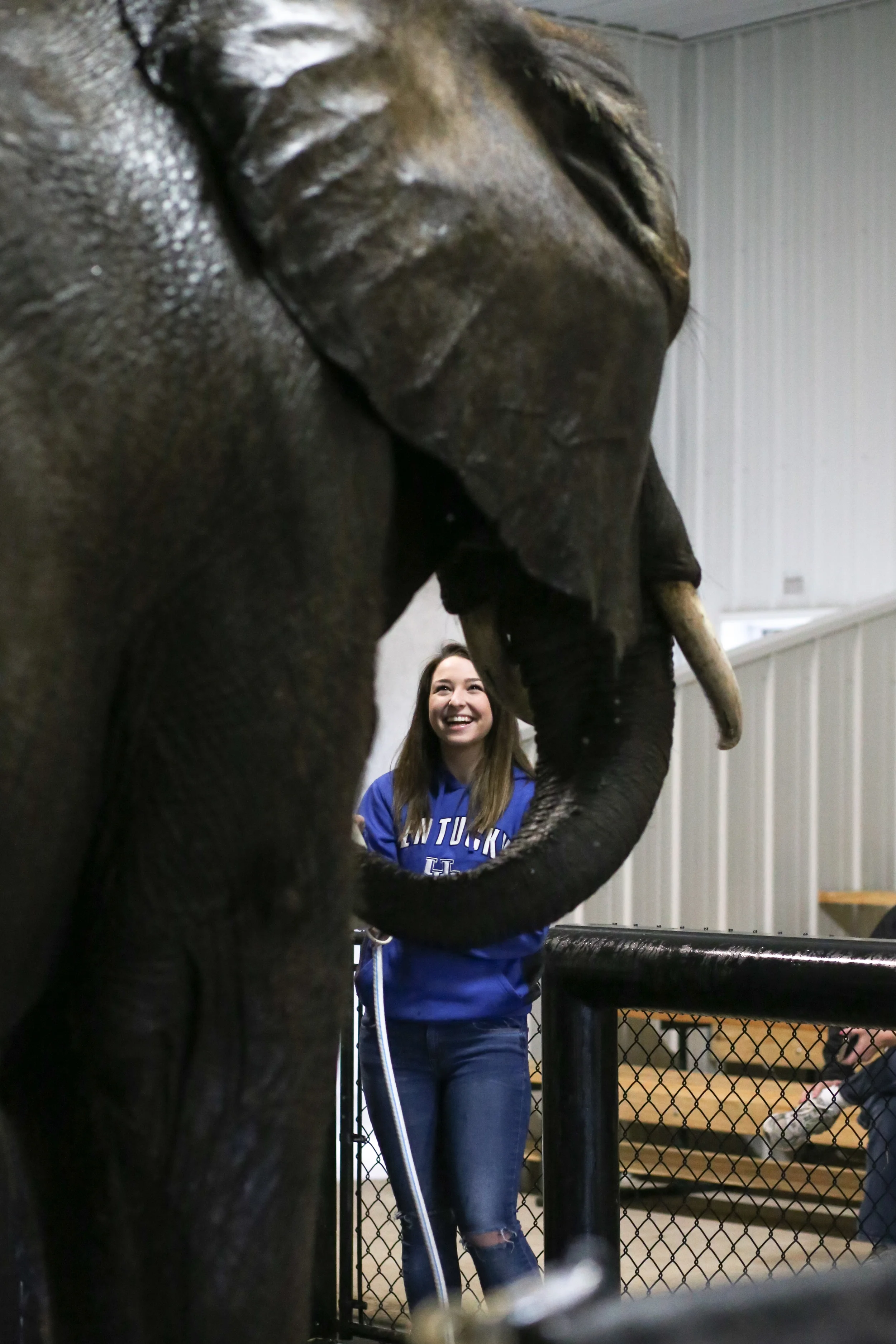 Elephant-obsessed Kaitlyn Underwood, 18, helps bathe 42-year-old African elephant Makia March 19 during the spa session at Wilstem Ranch's elephant retreat. Underwood was taken to the ranch as her birthday present. (Shot for Evansville Courier & Press)