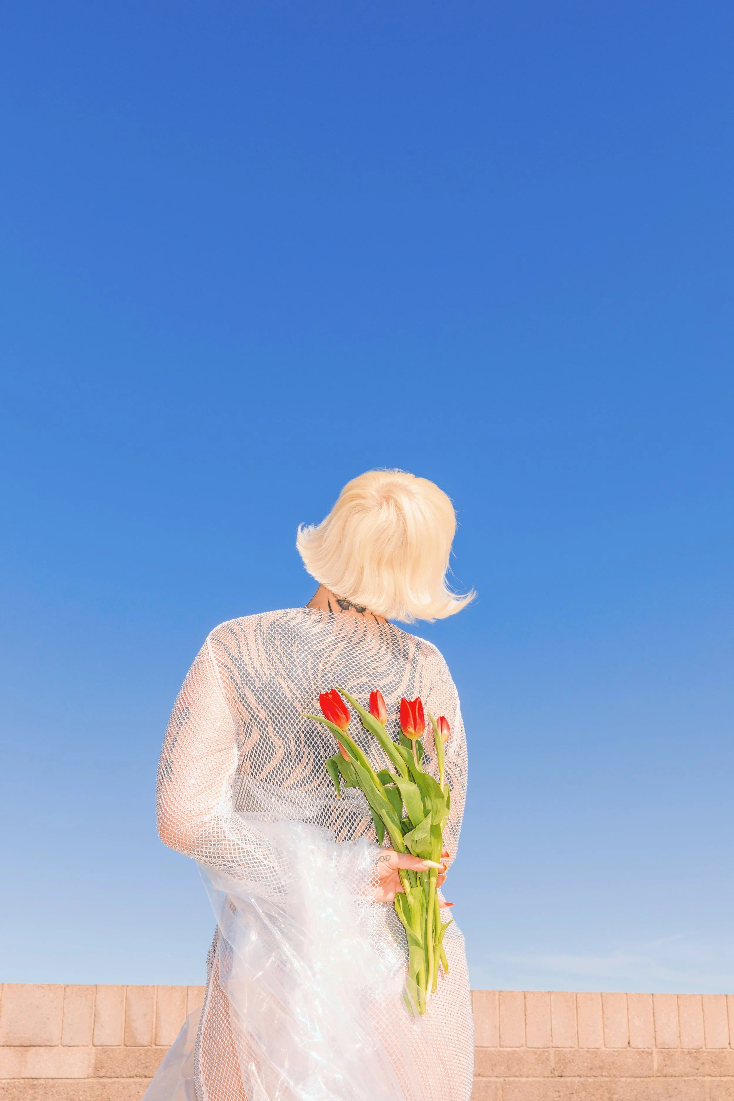 plastique%20lane-6764_VSCO.JPG