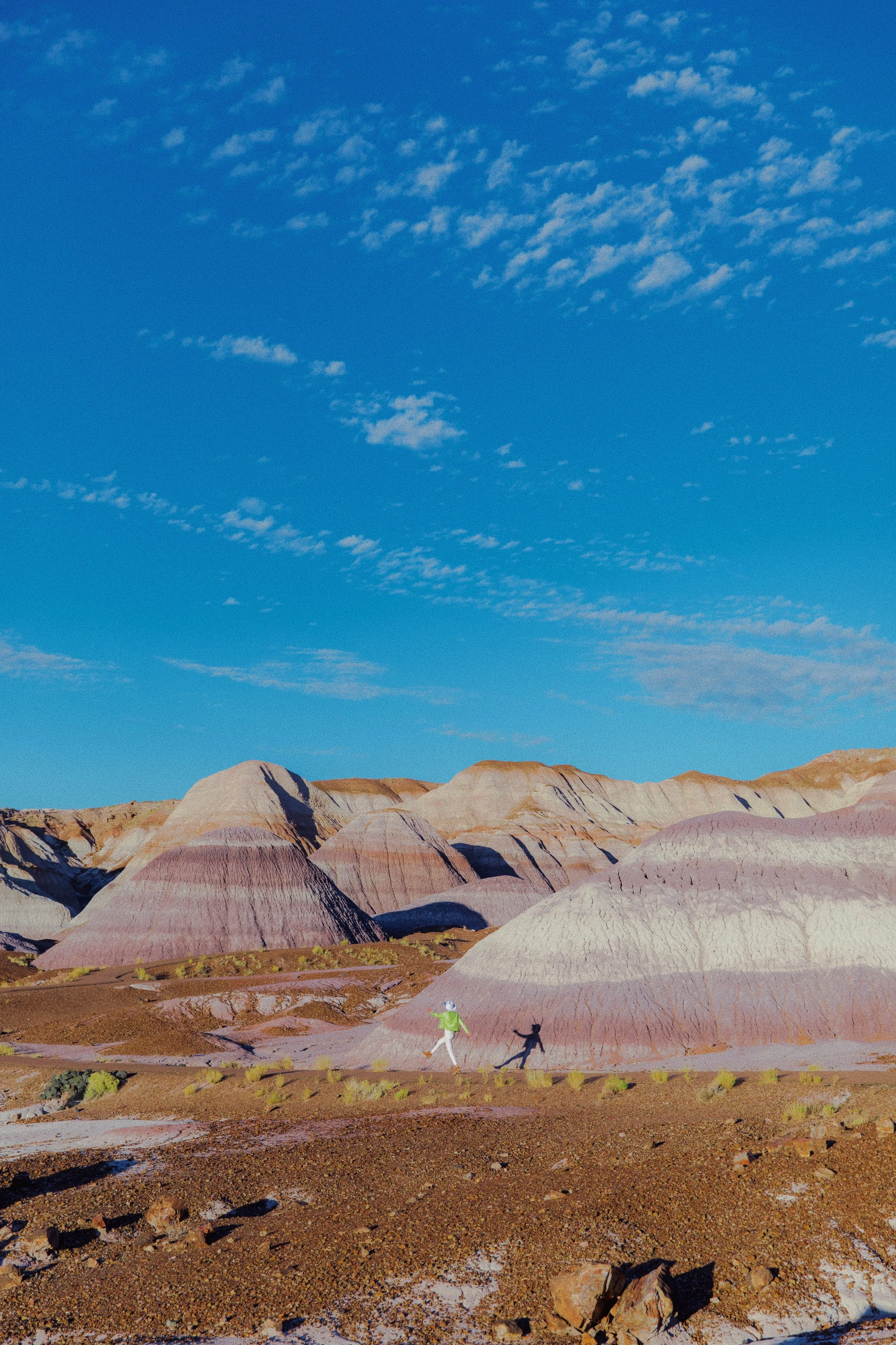 C722930F-77BF-4E5D-AC4A-F0B3DF34BF63 2.JPG