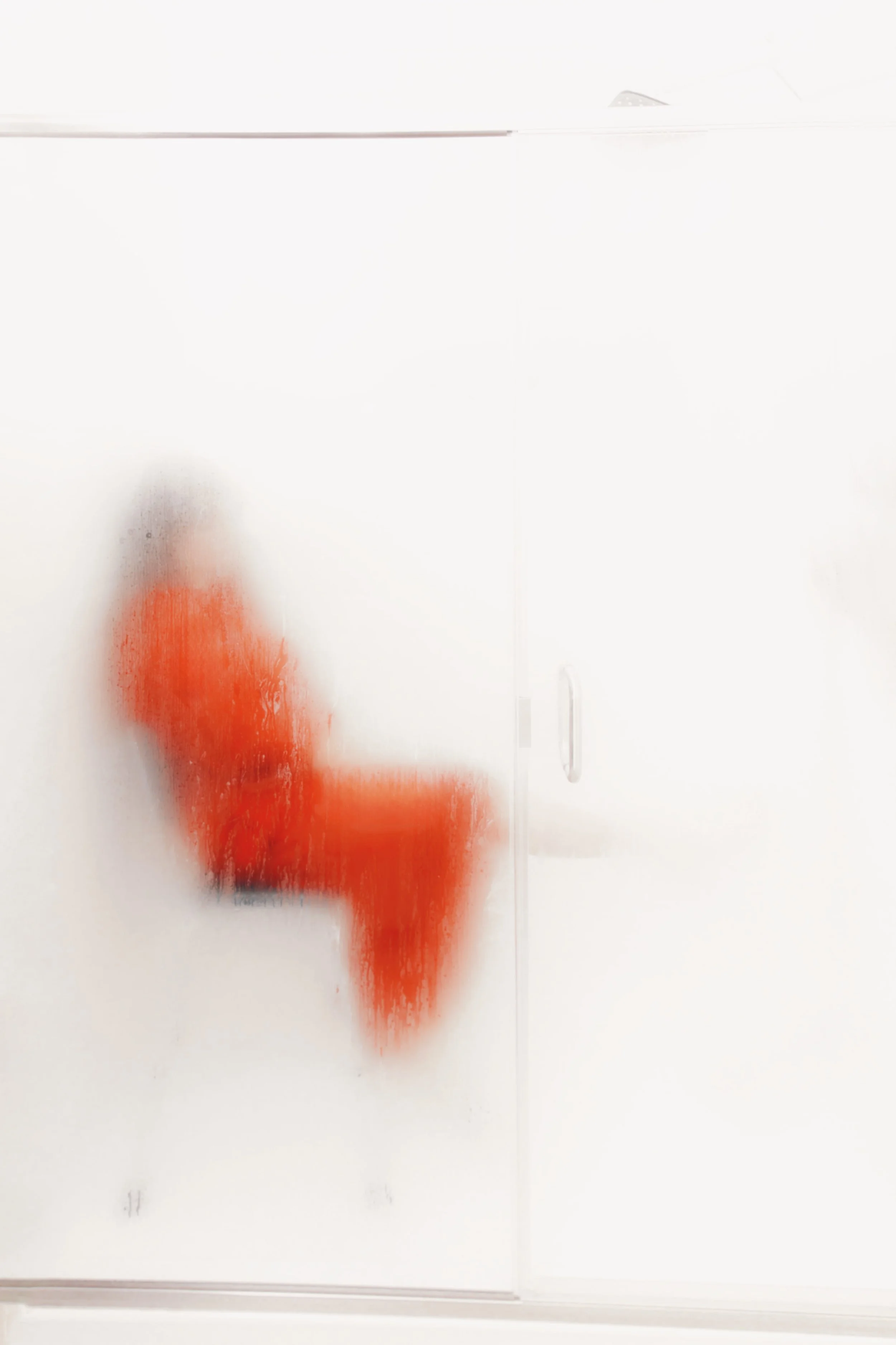 5D80D228-0DB3-44B9-8760-F3F4F7524208.JPG