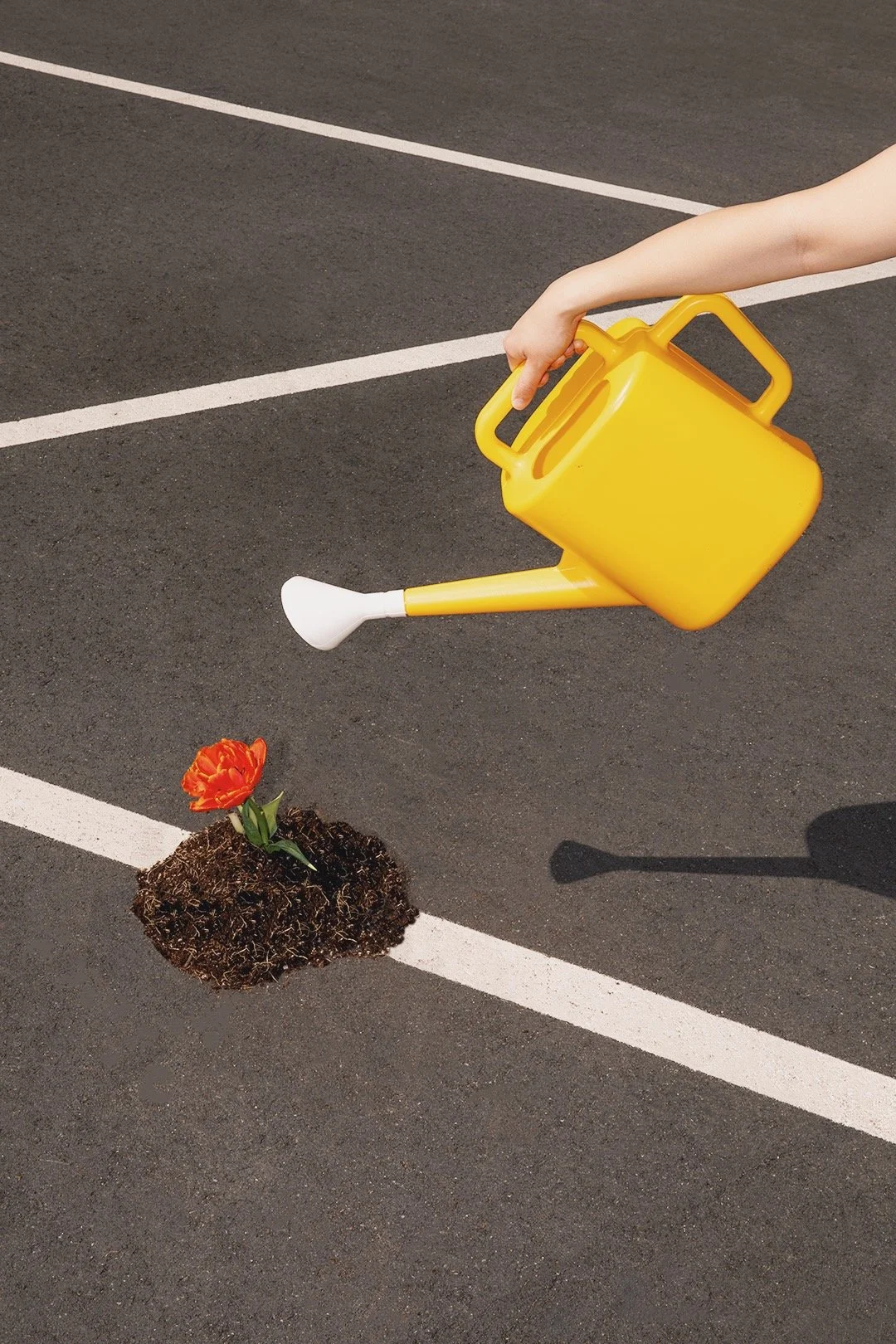 final edit - ephemeral.JPG