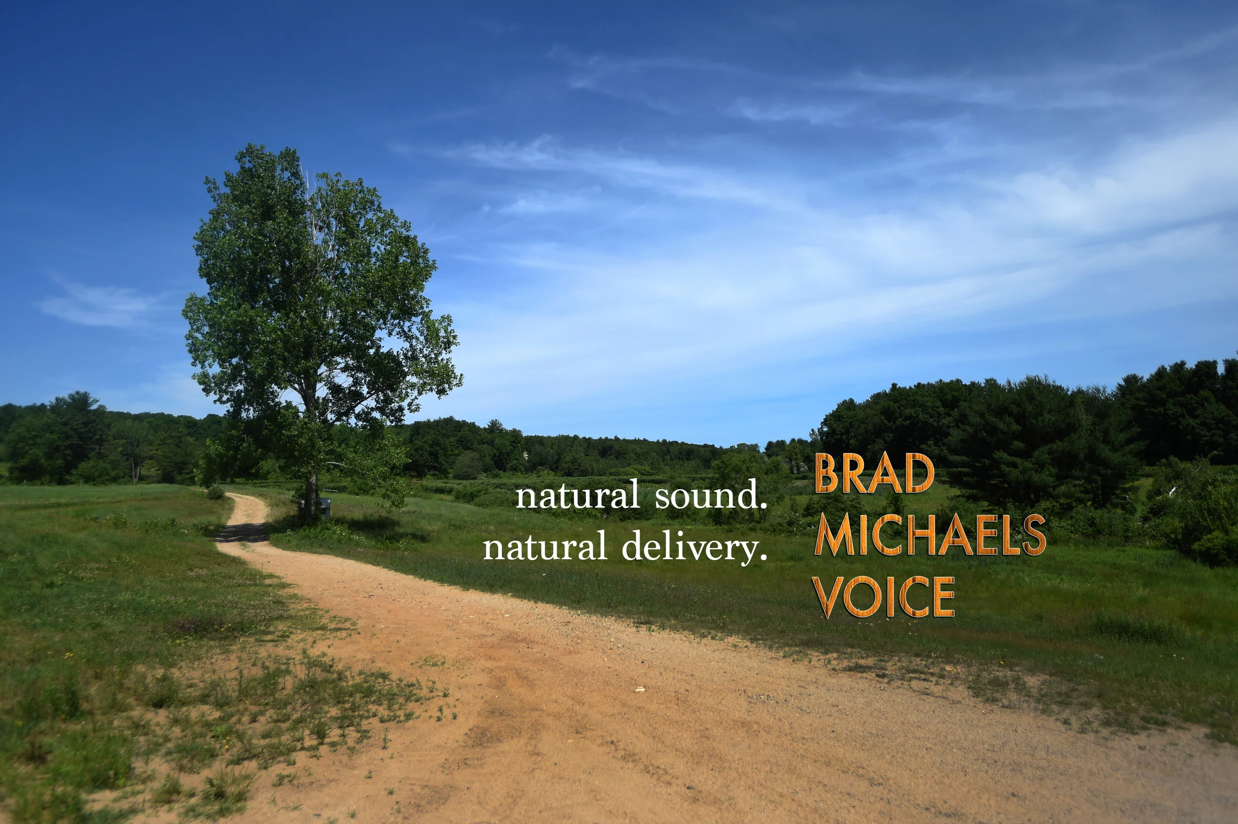home_vo_site_04.jpg