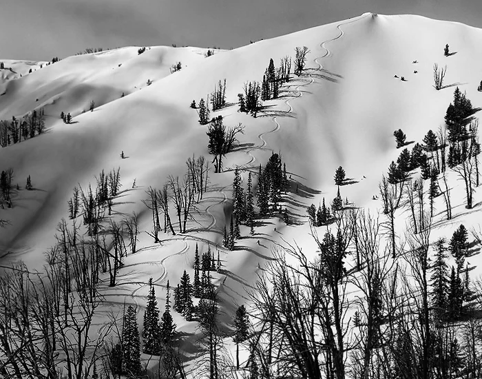 yellowstone_ski_tours_homepage1.jpg