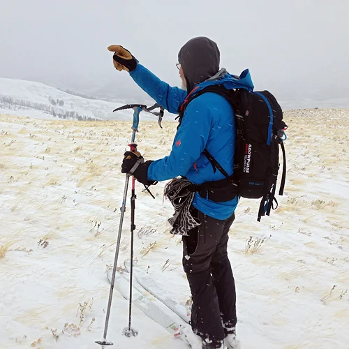 Along the windswept, Specimen Ridge. 