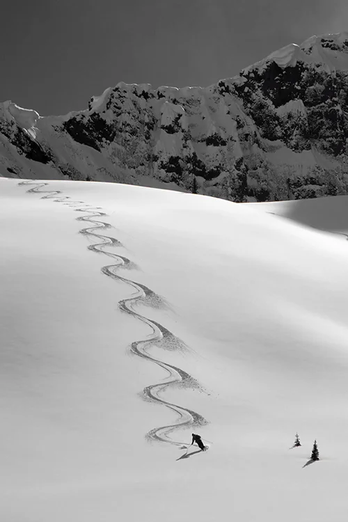 Photos courtesy of guide and photographer Kt Miller.  (link to her website)