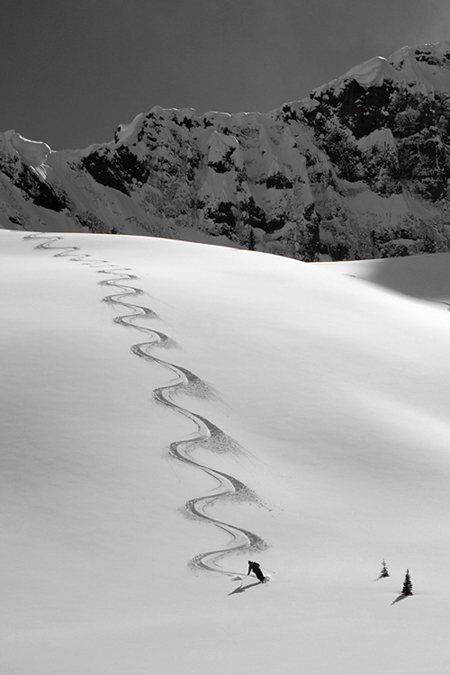 Photos courtesy of guide and photographer Kt Miller. ( link to her website)