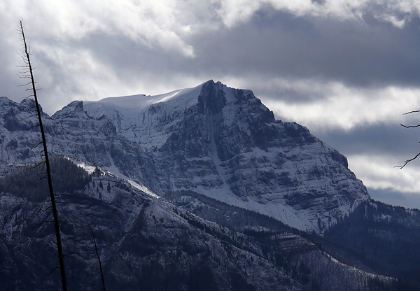 Snow report: so far out of this storm we've picked up about 2 inches at 8,000', and 6" at 10,000'.