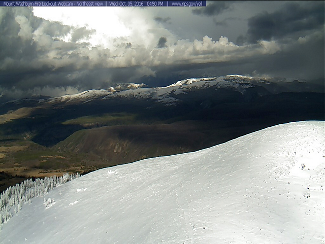 Mt. Washburn webcam this afternoon. Imagine seeing a grizzly in there!