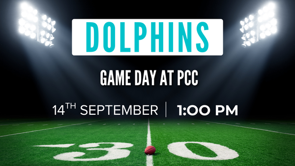 Dolphins Game at Church