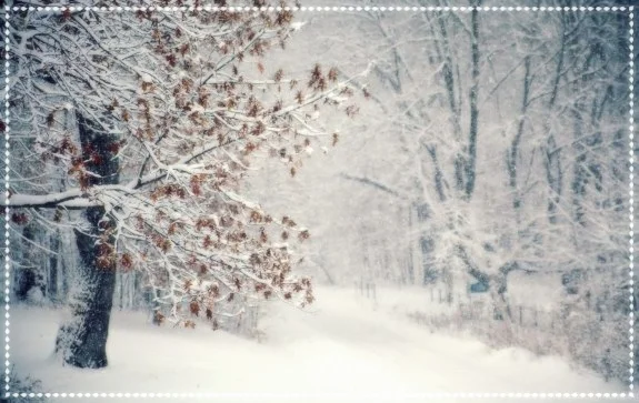 snow.jpg
