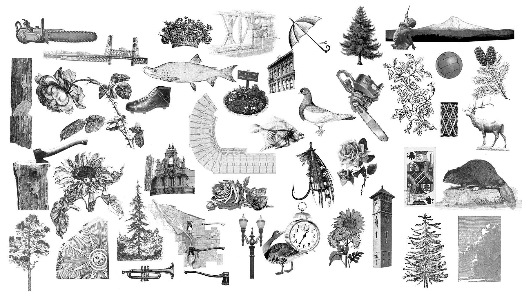 collage aspects.png