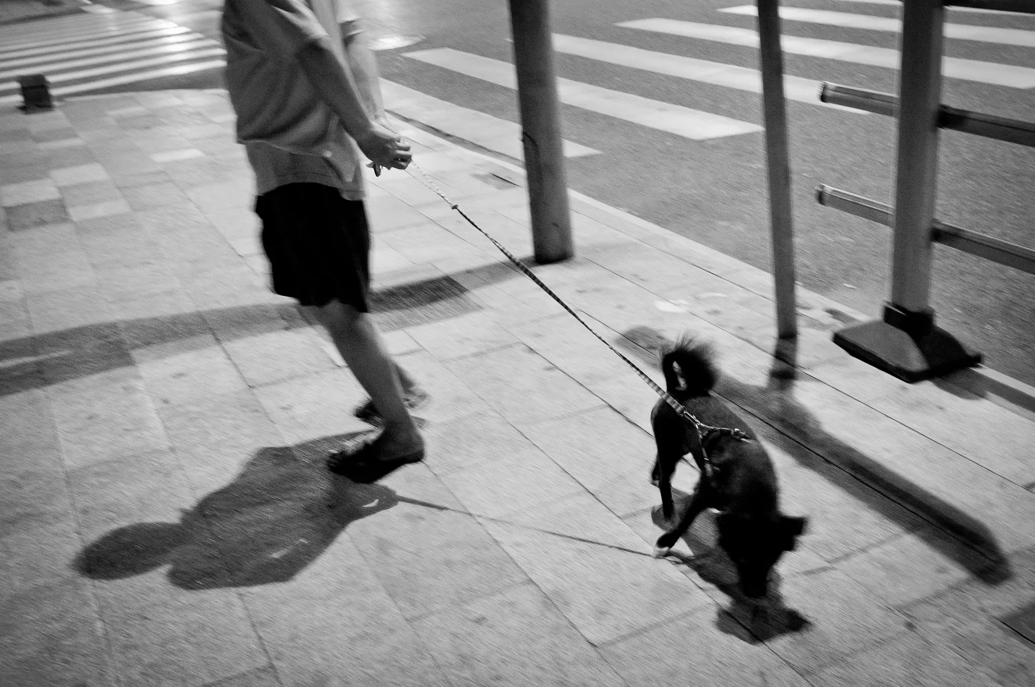 man&dog.jpg