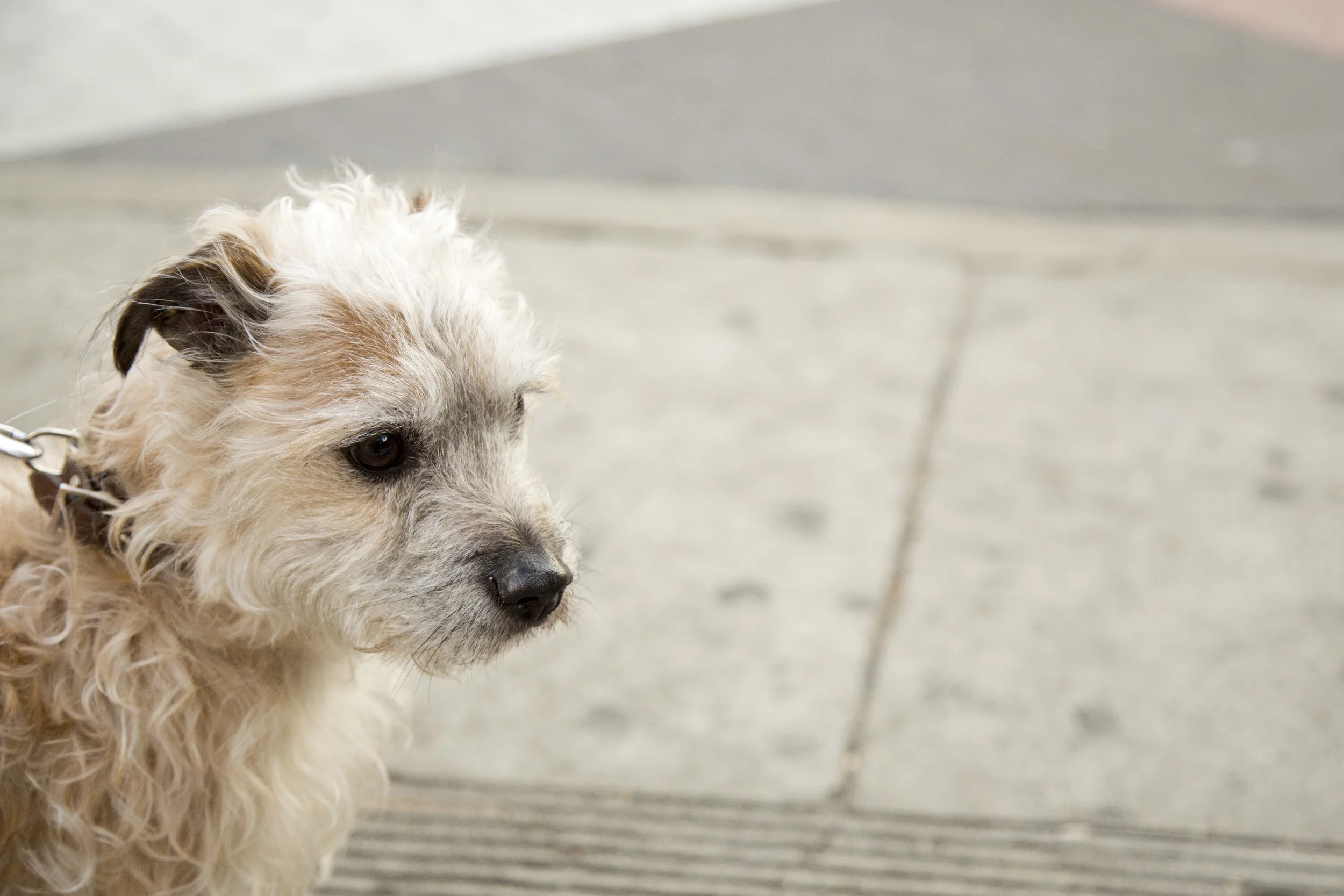 6Y8A9490 alejandro ohlmaier.JPG