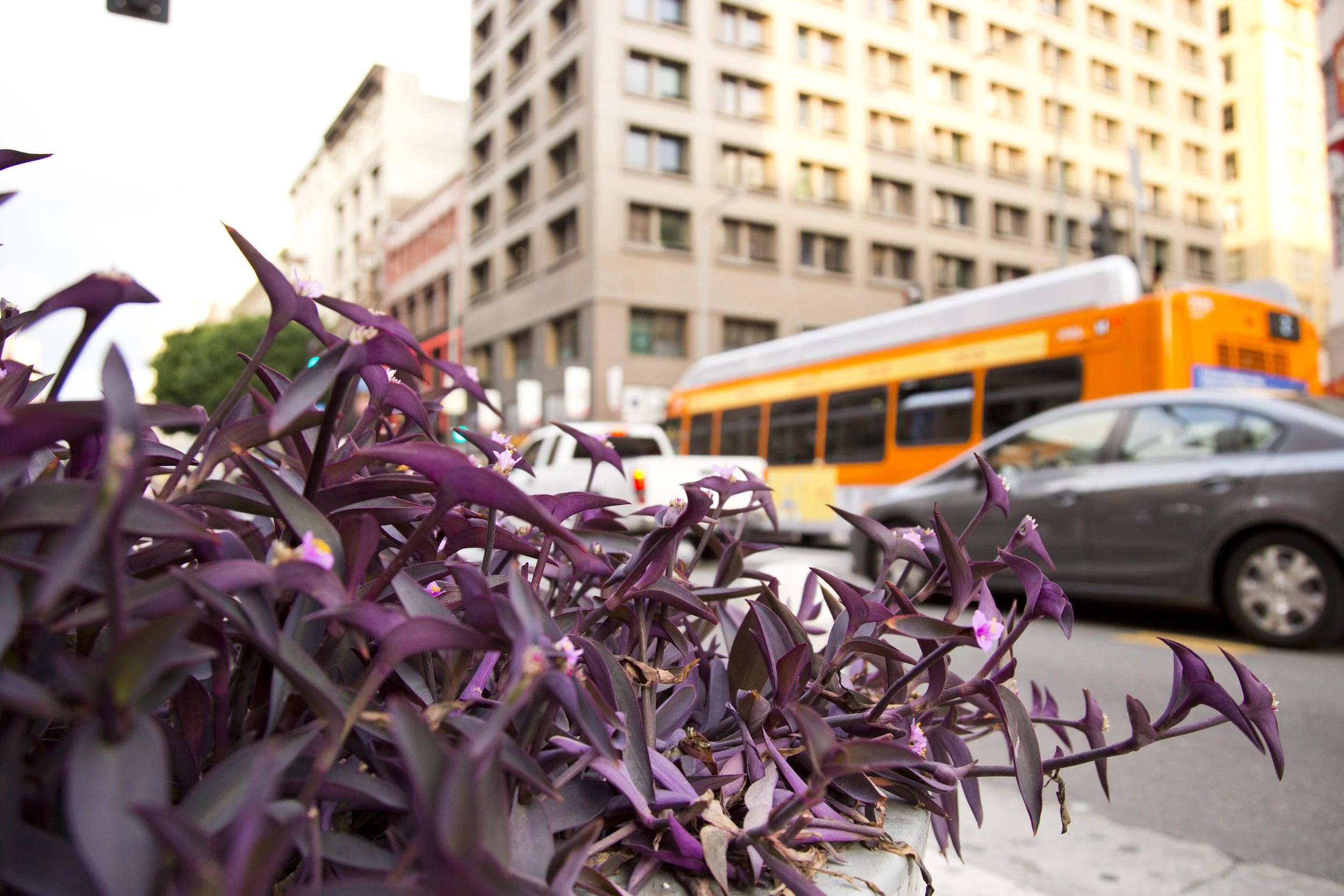 6Y8A9503 alejandro ohlmaier.JPG