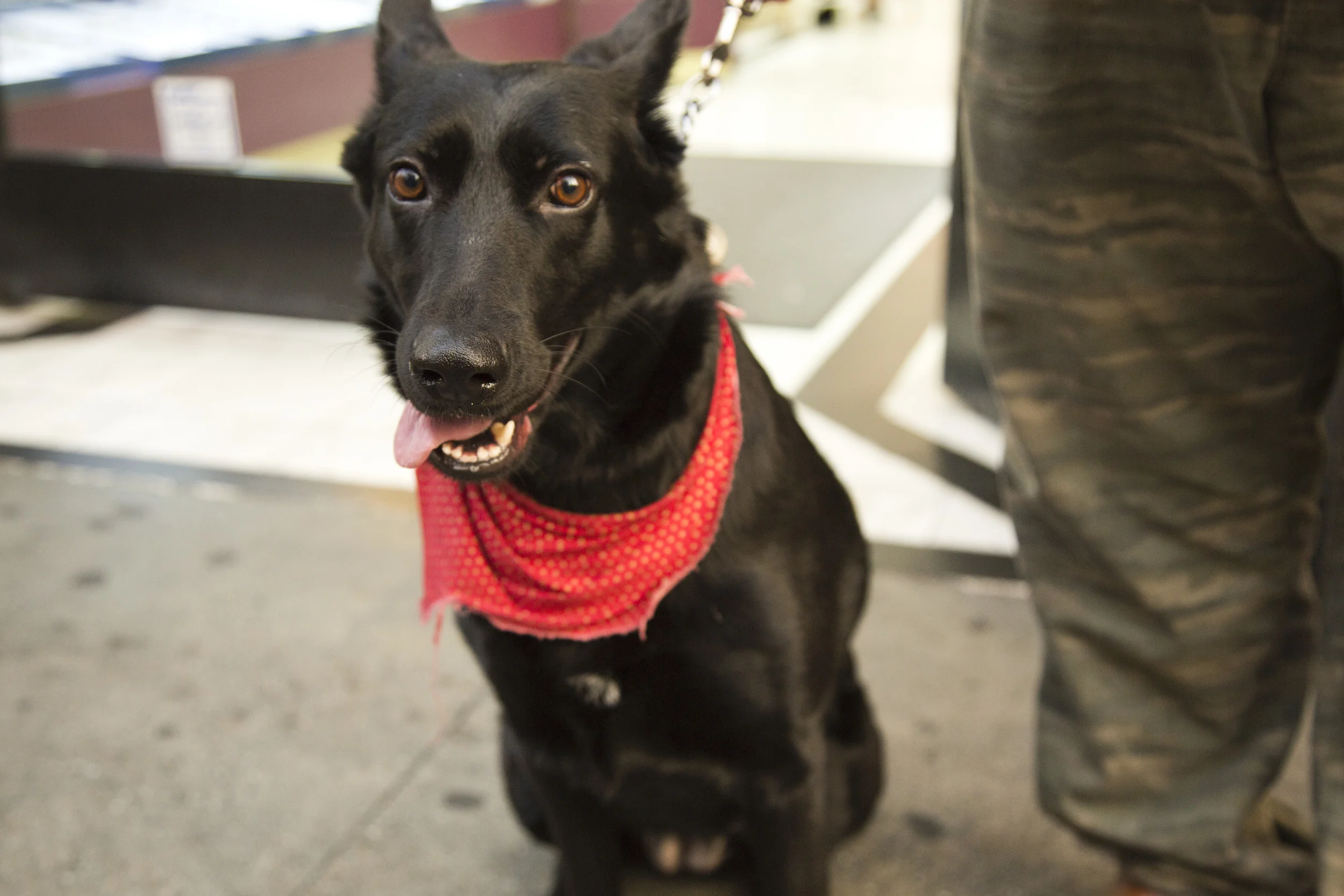 6Y8A9527 alejandro ohlmaier.JPG