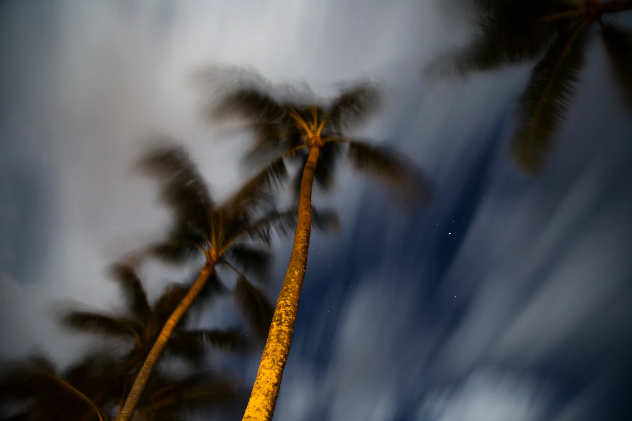 North Shore October 2016