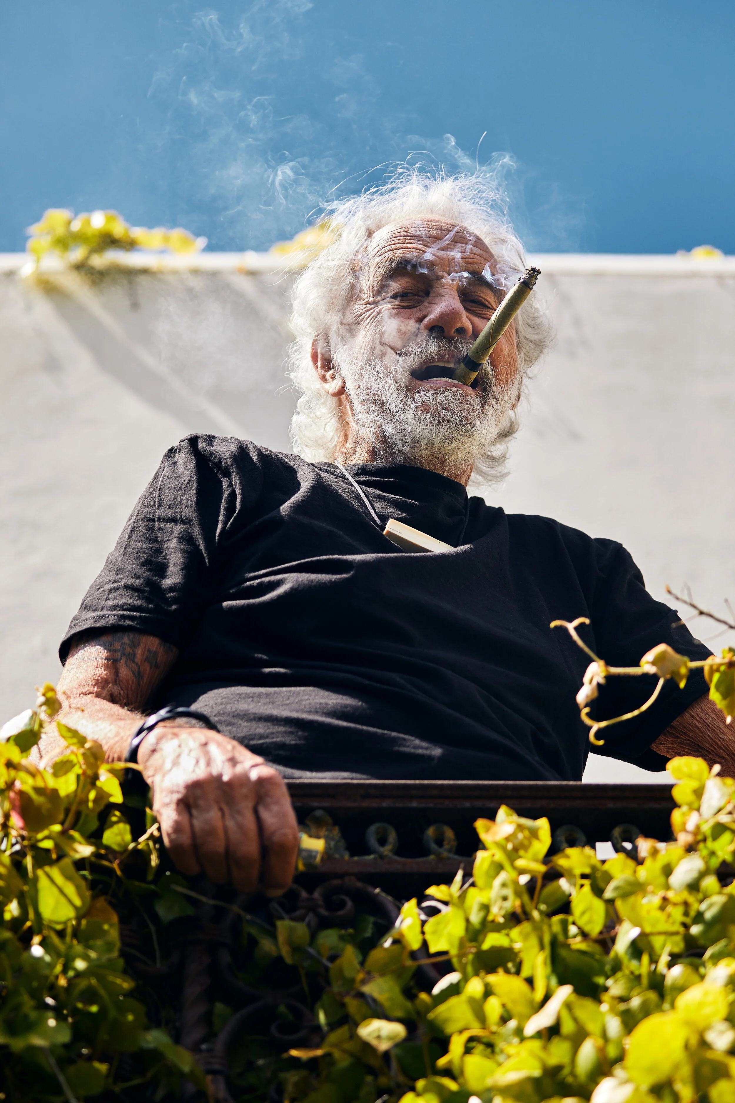 Tommy Chong Portrait | Actor, Comedian & Cultural Icon