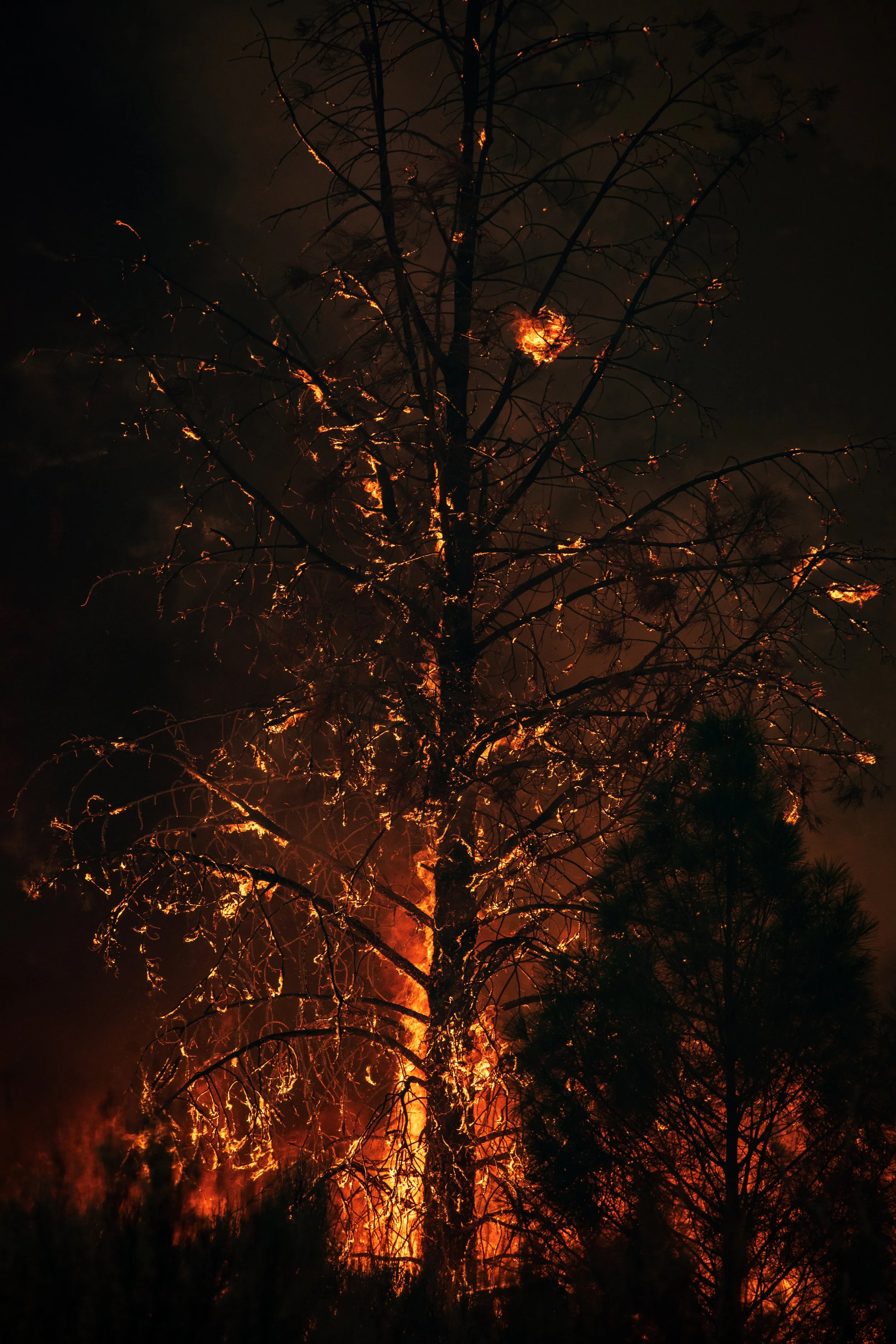 1O0A5672-2-website.jpg