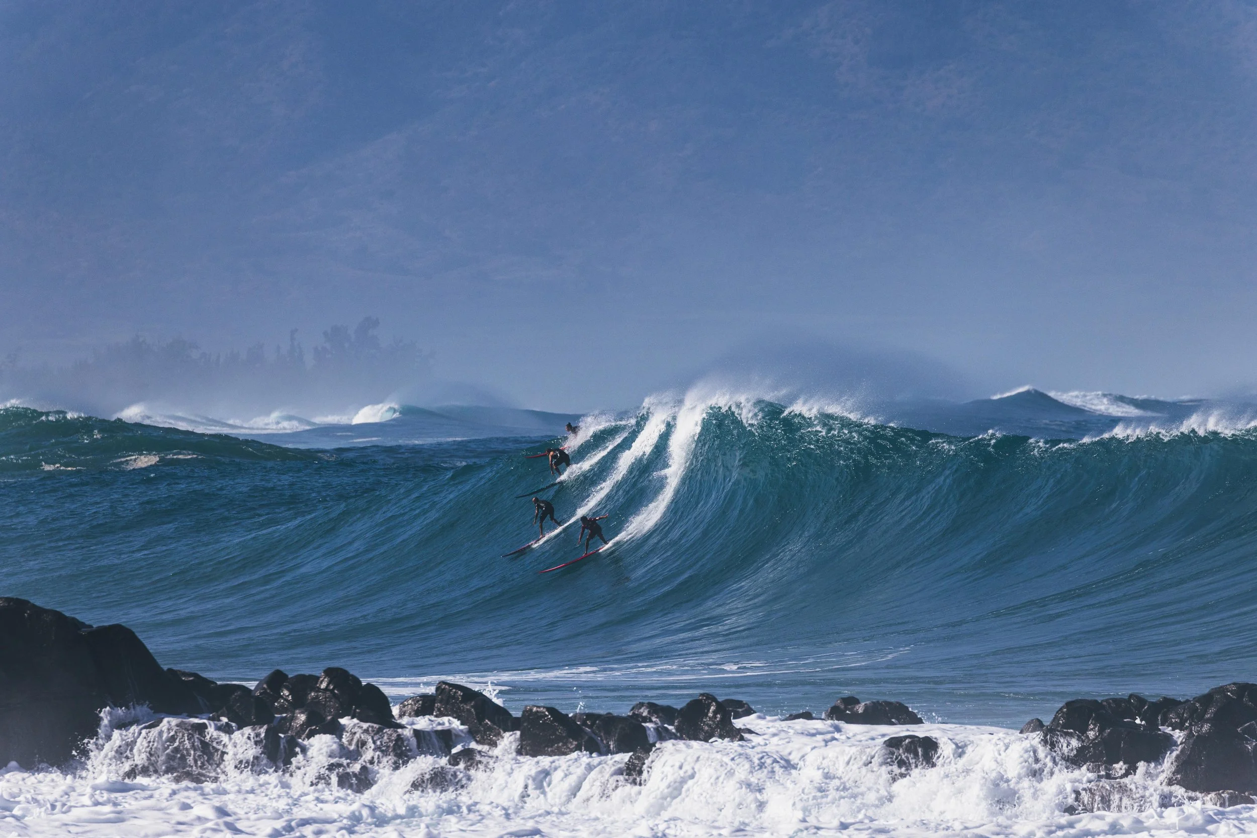 _59A5336 website.jpg