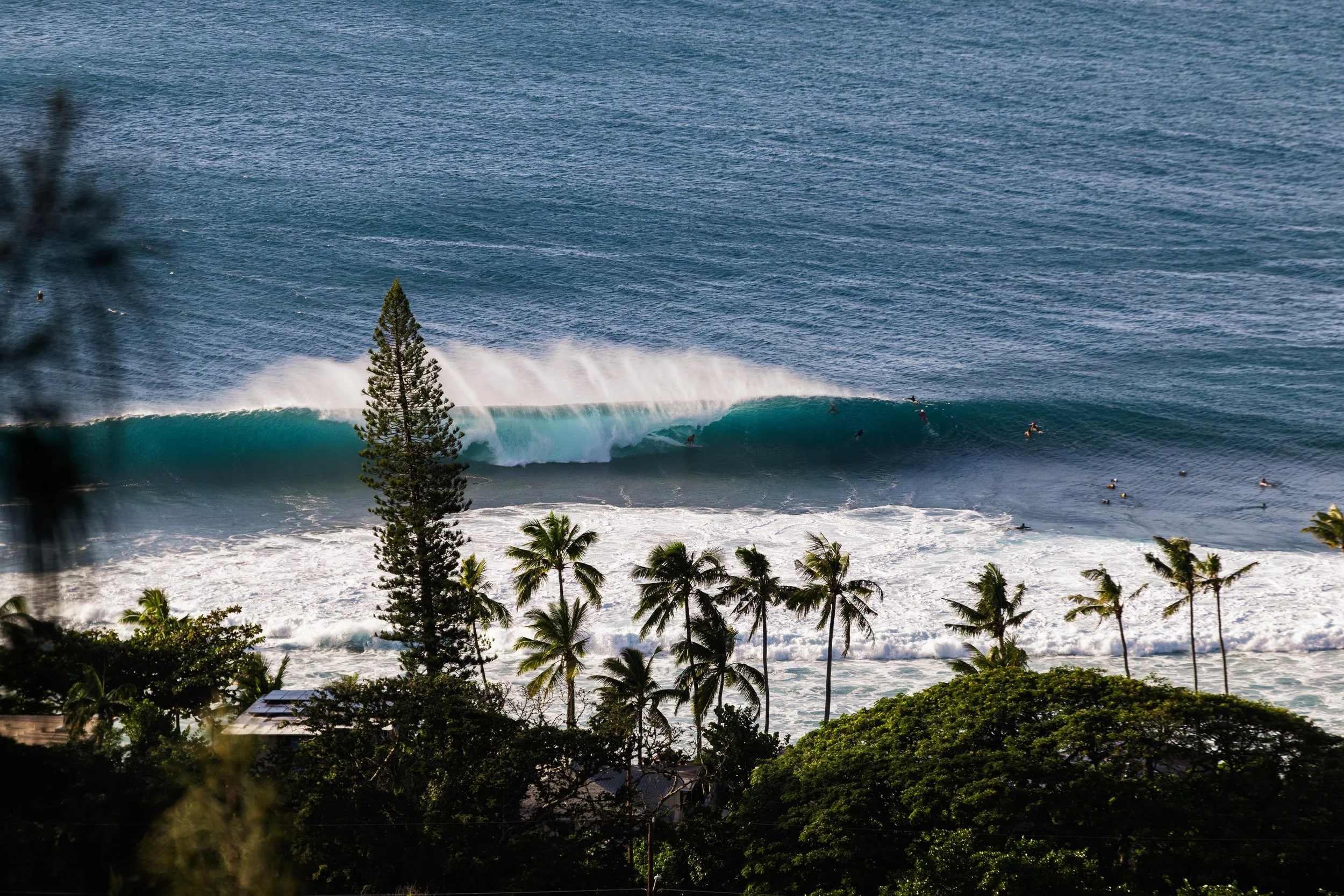 _59A3683 website.jpg