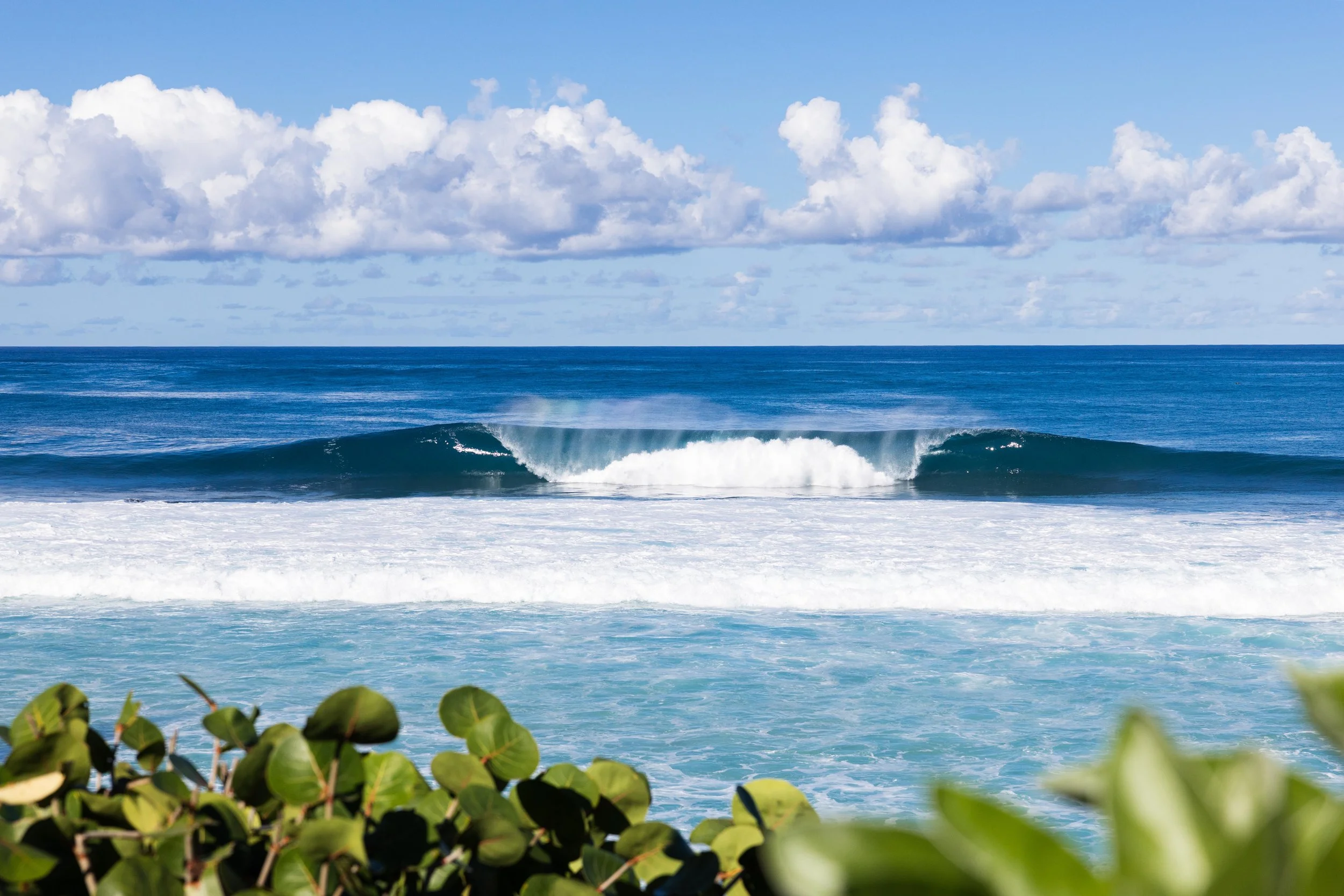 _59A8389 website.jpg