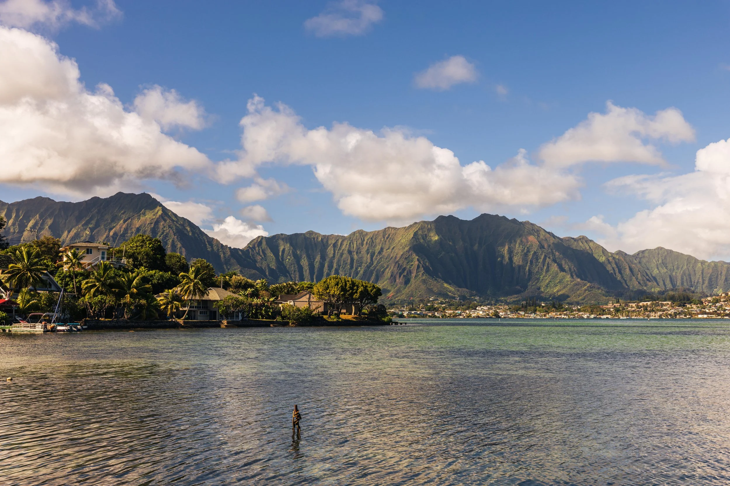 _59A6204 website.jpg