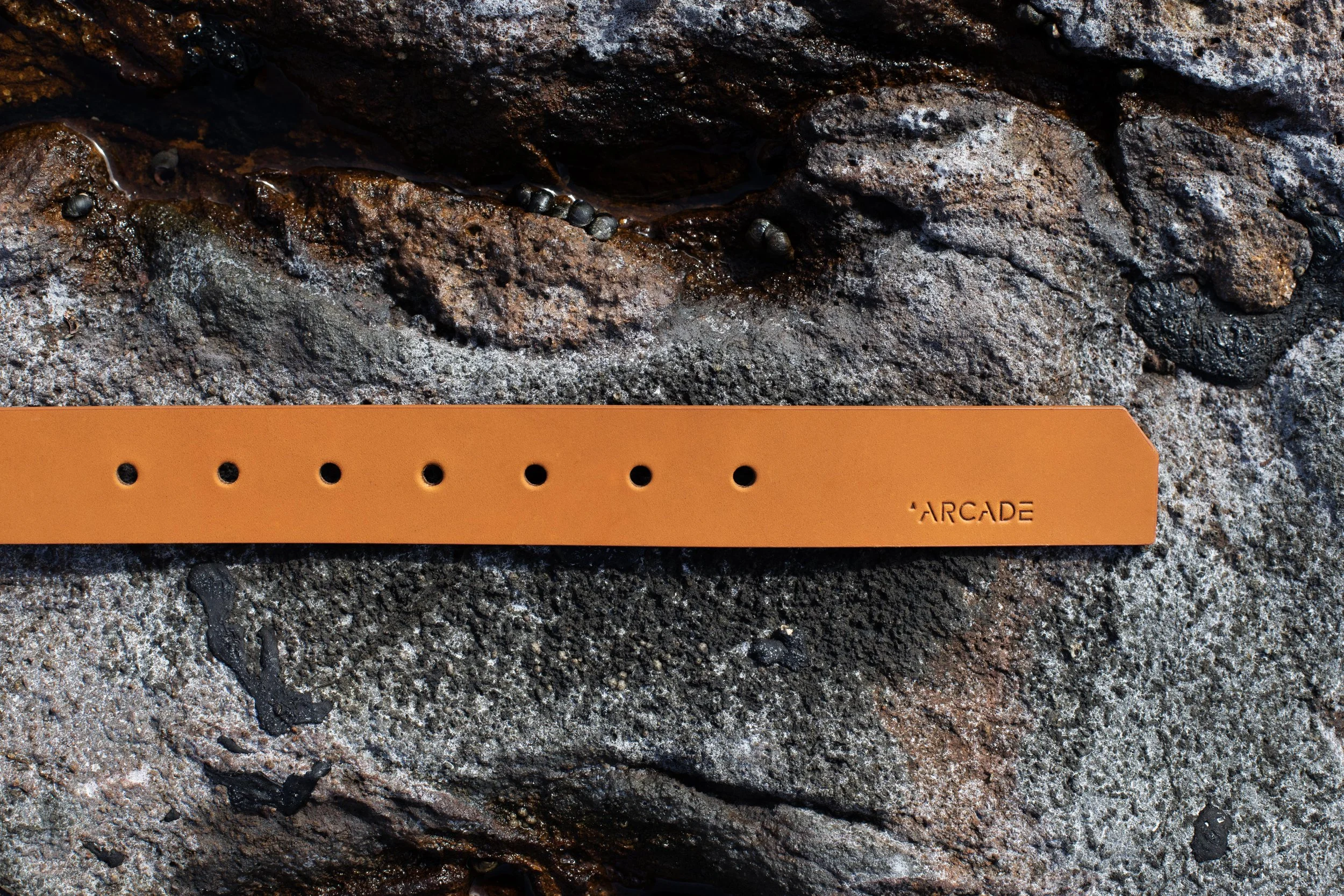 1O0A2939 website.jpg