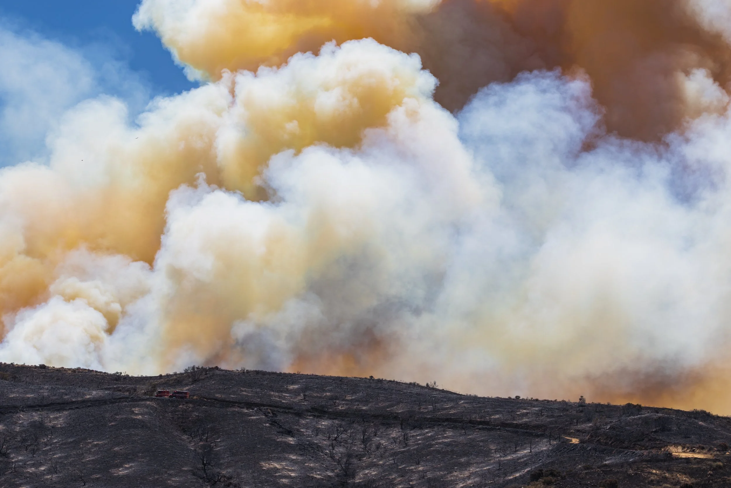 _59A4121.jpg
