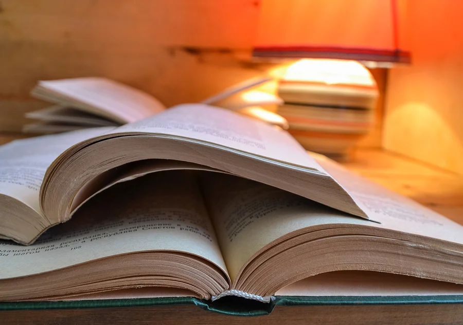 Food for Thought - My Books of 2015