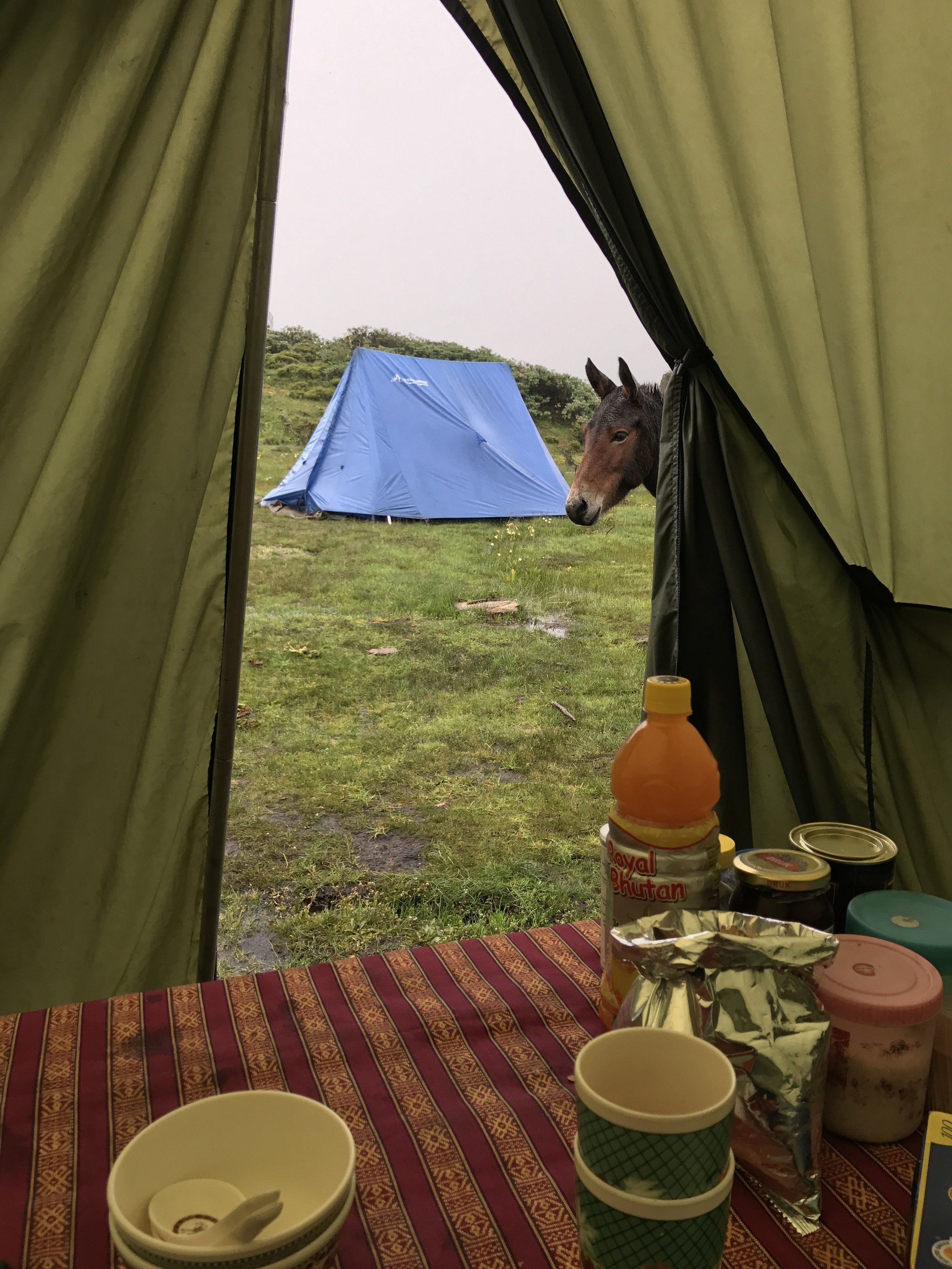 Soul-Searching Above Rainy Clouds – A Journey to Bhutan: Part II