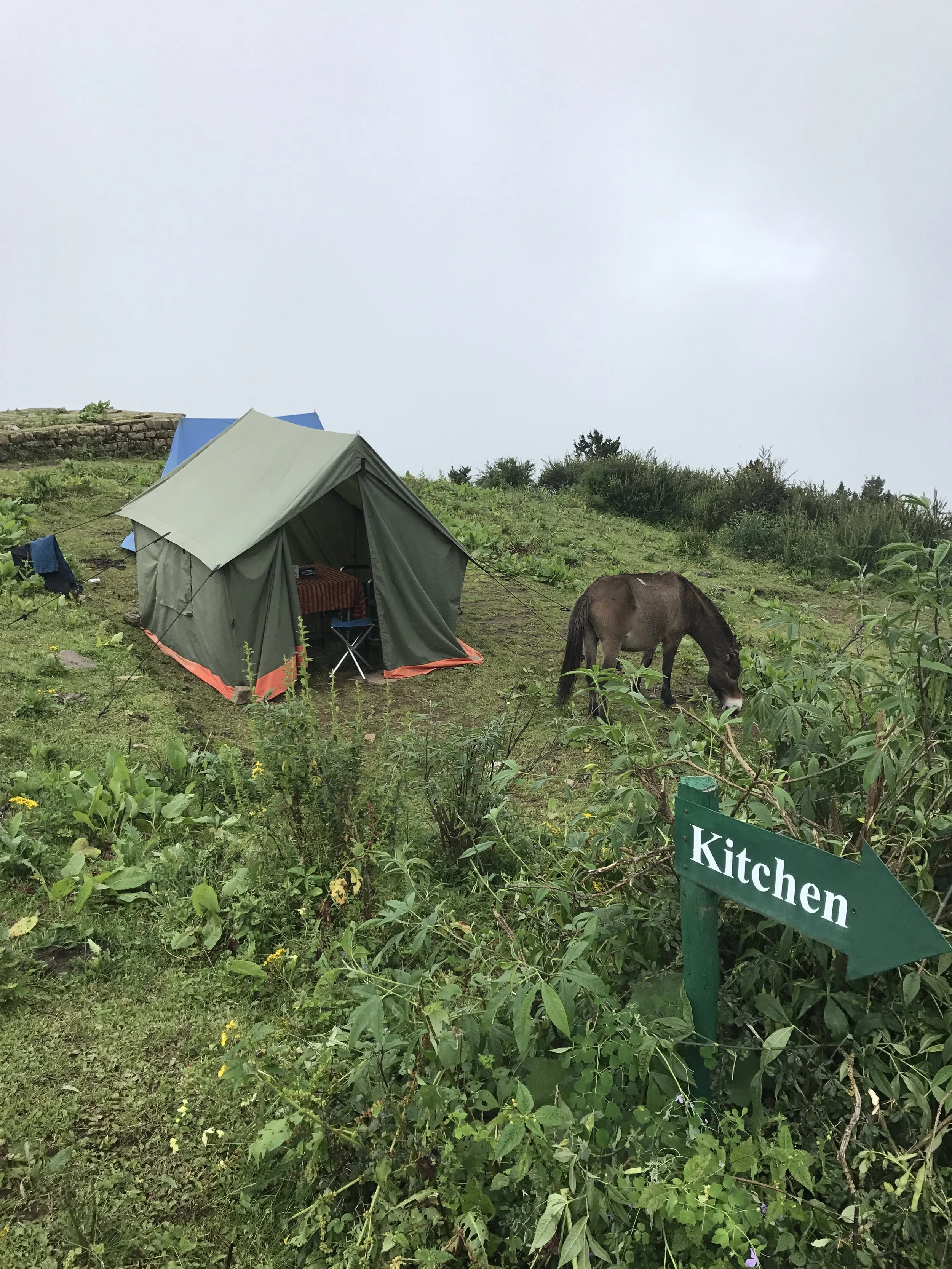  The portable dining room. 