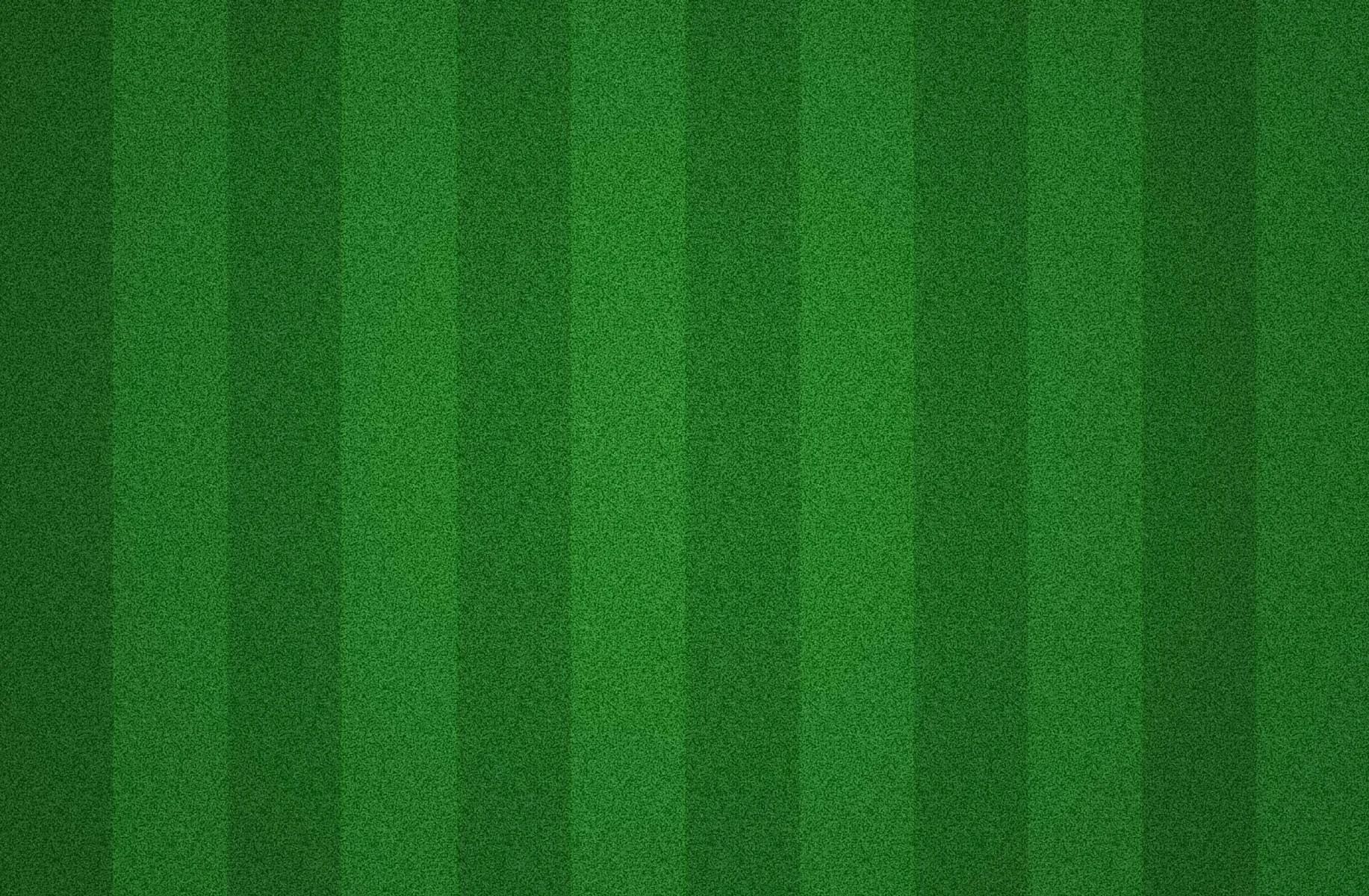 field-stripes.jpg