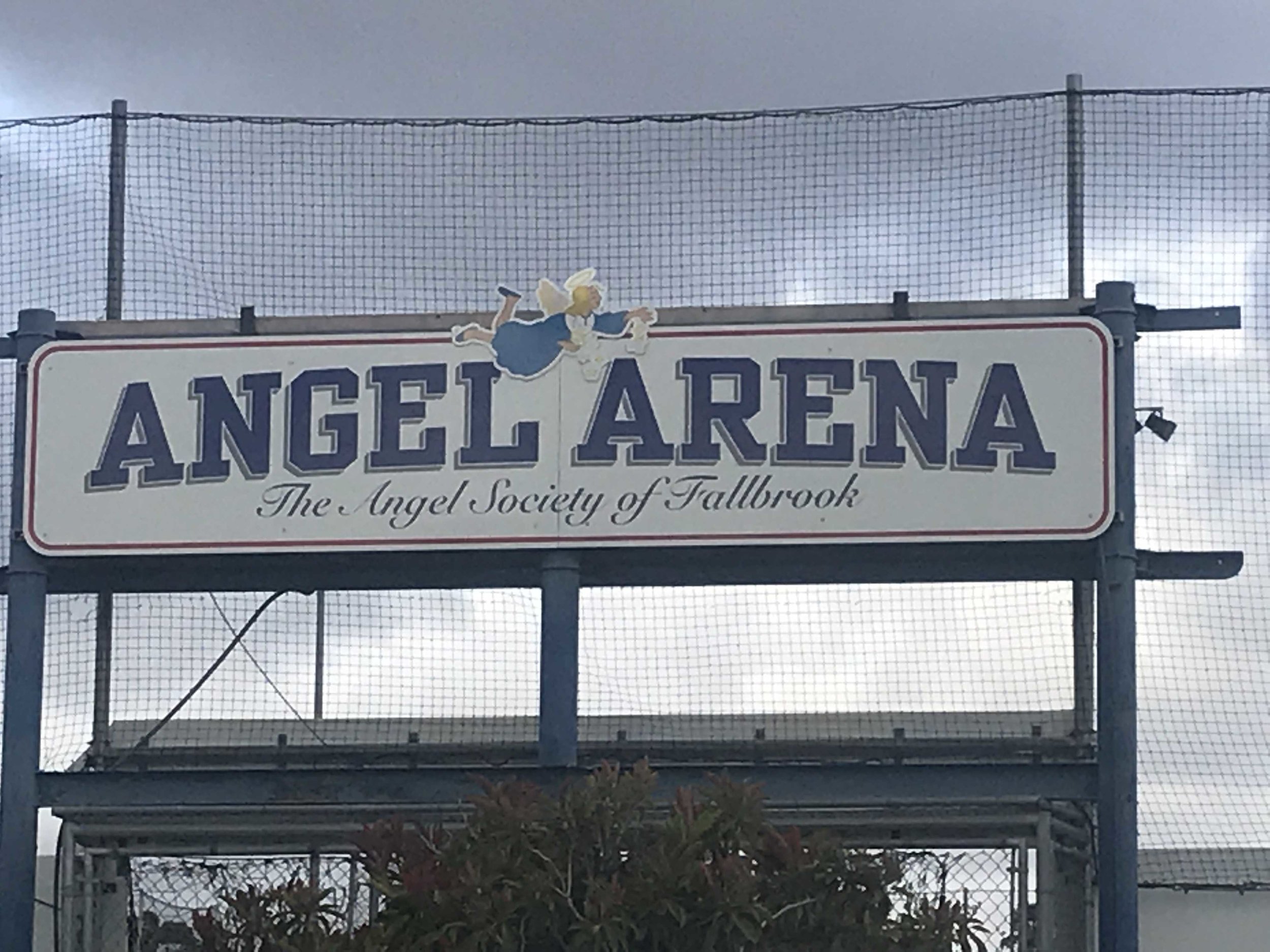 Angel Arena.jpg