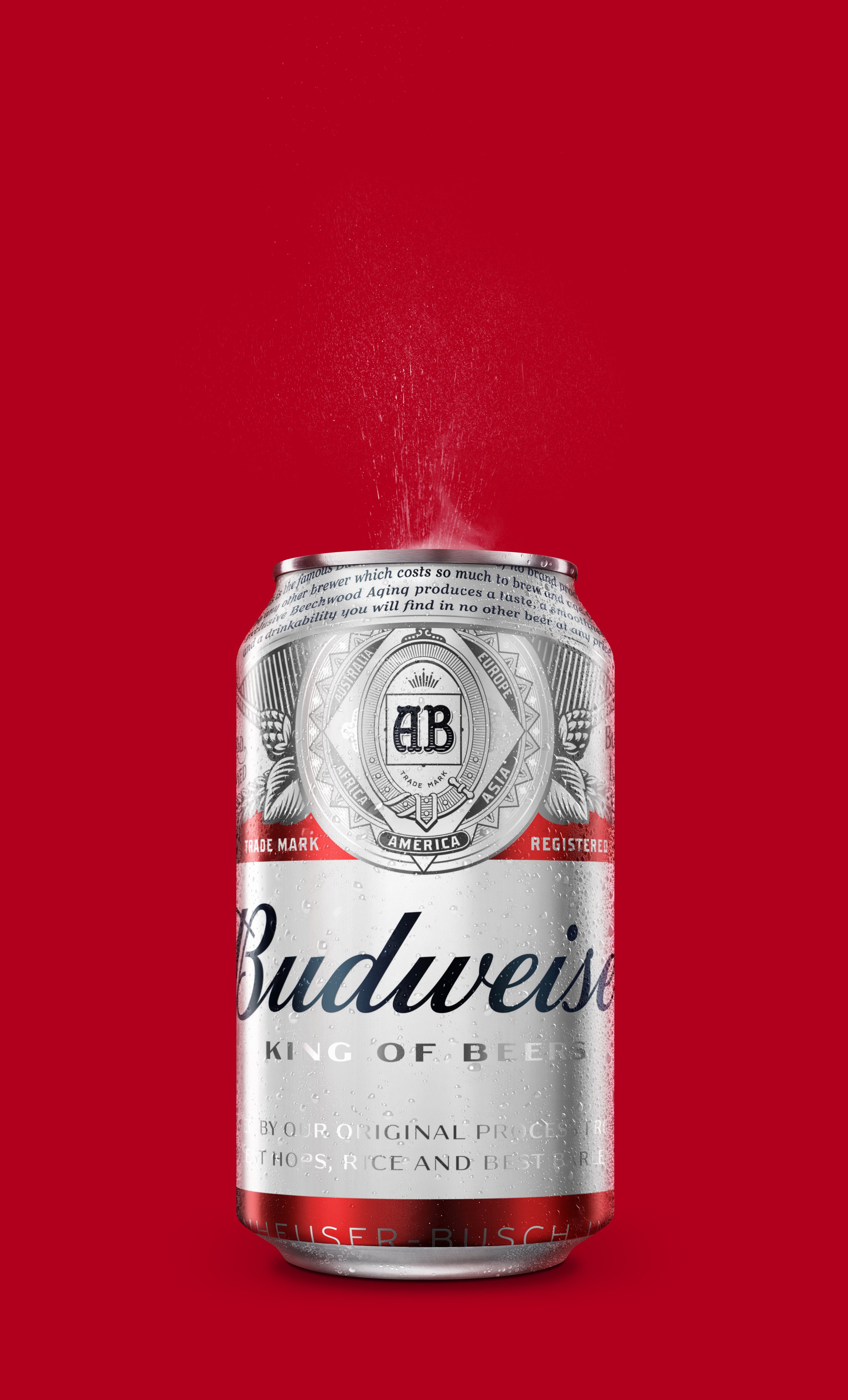180316_AB_BUDWEISER_CAN_330mL_HR_LV.jpg