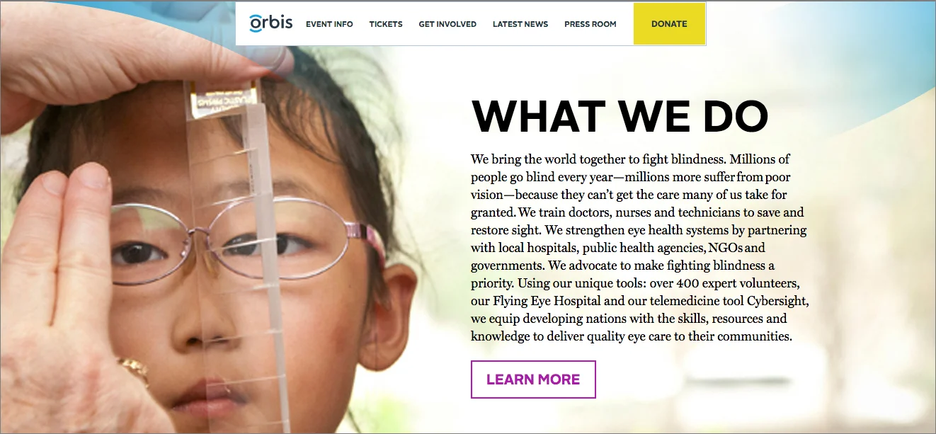 orbis-UK-bugbee-2.jpg