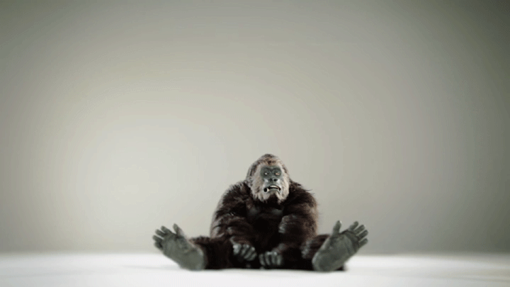 • The Rolling Stones •