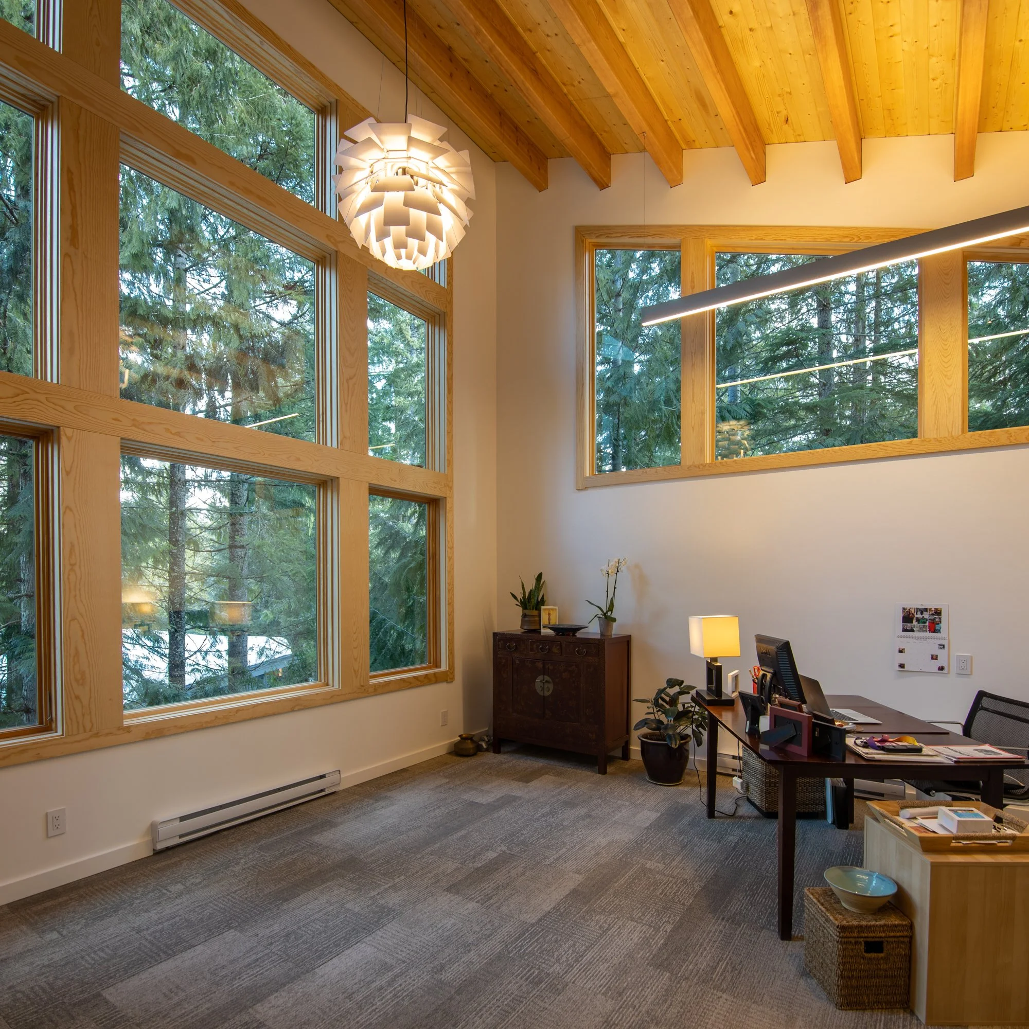 Architects house whistler